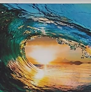 Meet your Posher, Ann